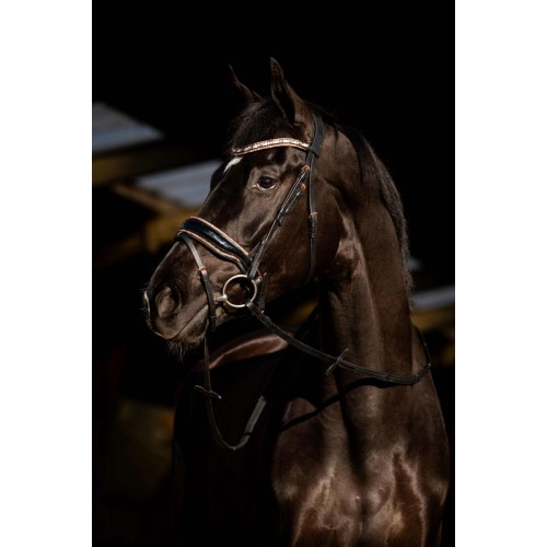 HB Showtime Bridle Copper Sky