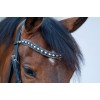 HB Showtime Browband Rocky Glitter