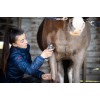 Lister Eclipse 2.0 draadloze scheermachine