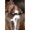 HB Showtime Bridle Leopard