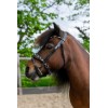 HB Showtime Leopard Bridle Little Sizes
