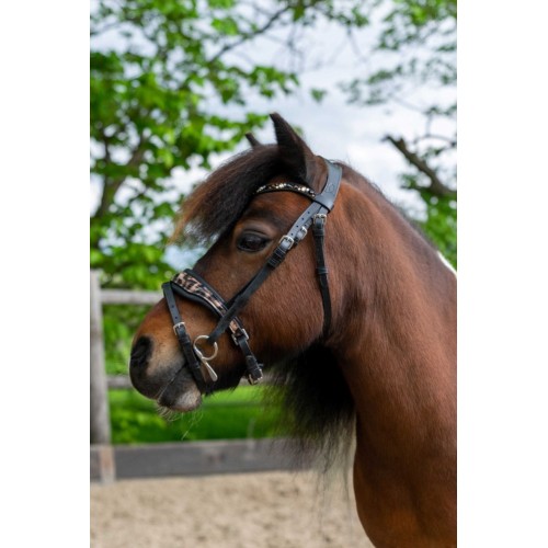 HB Showtime Leopard Bridle Little Sizes