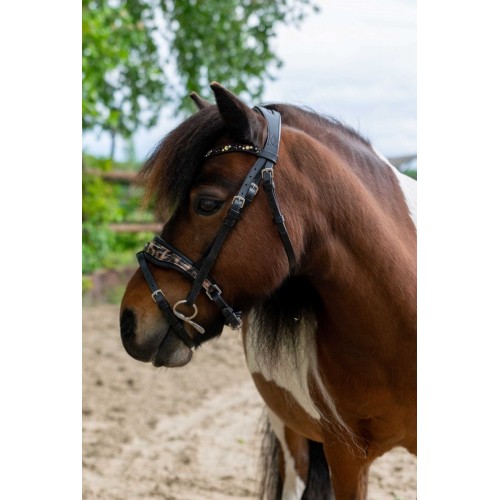 HB Showtime Leopard Bridle Little Sizes
