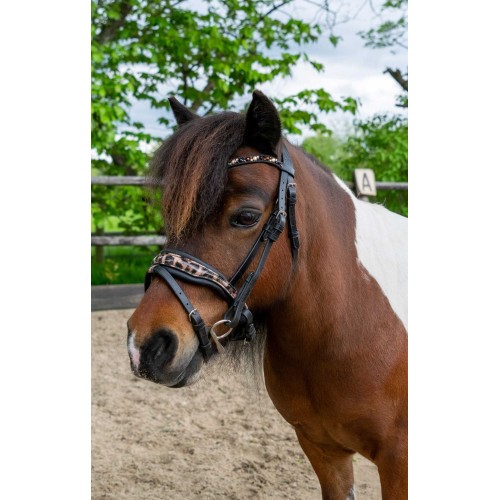 HB Showtime Leopard Bridle Little Sizes