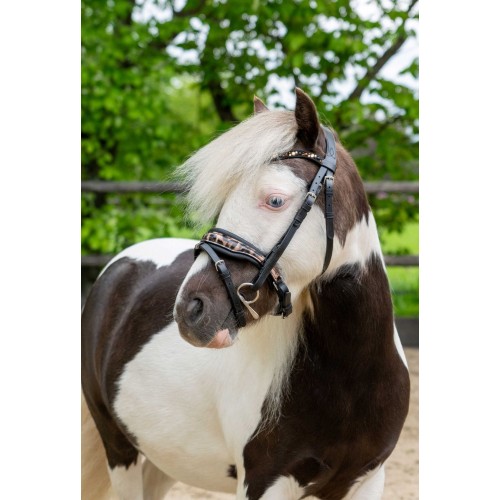 HB Showtime Leopard Bridle Little Sizes