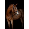 Happy Mouth Single-Jointed Loose Ring Snaffle Bit