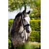 HB Showtime Bridle Ultimate Dream