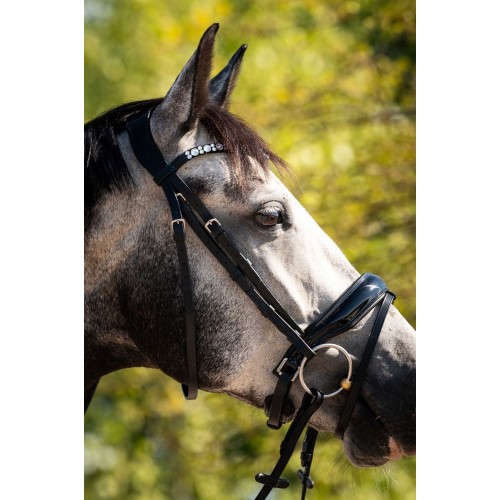 HB Showtime Bridle Ultimate Dream