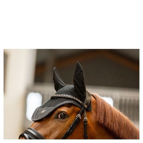 BR CLX Ear Bonnet
