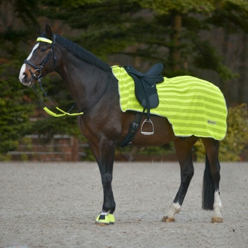Waldhausen Reflex Exercise Rug