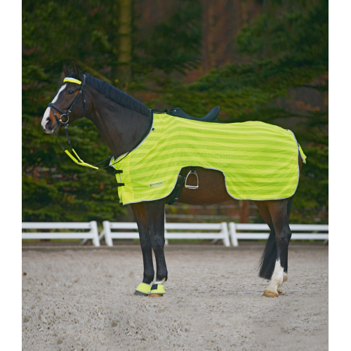 Waldhausen Exercise Rug Reflex