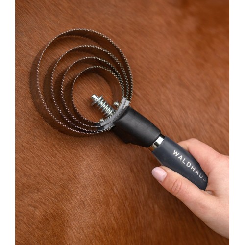 Waldhausen Curry Brush with Gel Handle