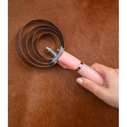 Waldhausen Curry Brush with Gel Handle