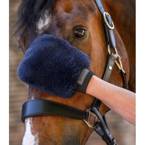 Waldhausen Lambskin Polishing Glove