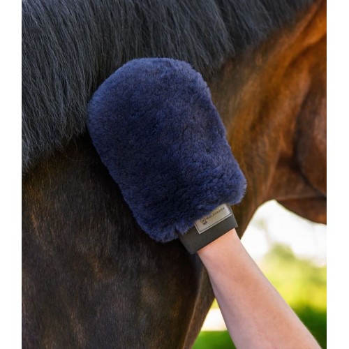 Waldhausen Lambskin Polishing Glove