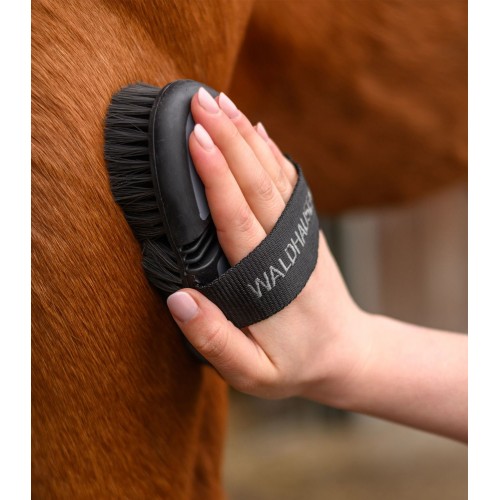 Waldhausen Flex Body Brush