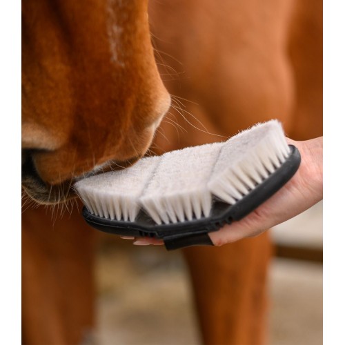 Waldhausen Flex Shine Brush