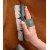 Waldhausen Flex Shine Brush