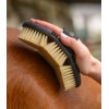 Waldhausen Flex Hard Brush