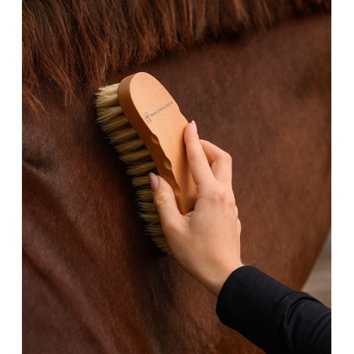 Waldhausen Exclusive Line Contour Brush