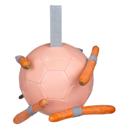 Waldhausen Carrot Ball