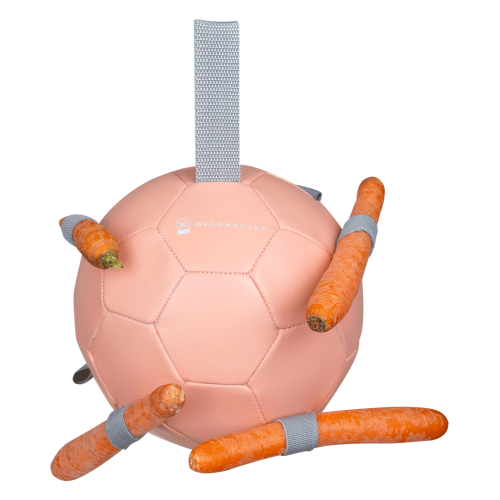 Waldhausen Carrot Ball