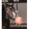 Waldhausen Carrot Ball
