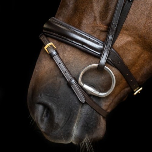 Imperial Riding Snaffle Bridle IRH simple combined noseband