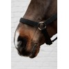 Kentucky Nylon Halter