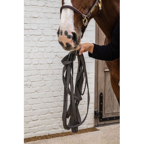Kentucky Lunge Line Flat 8m
