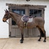 Kentucky Velvet Pied-de-Poule Jumping Saddle Pad