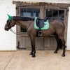 Kentucky Velvet Pied-de-Poule Dressage Saddle Pad