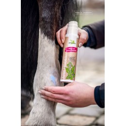 Bense & Eicke ArcticGel