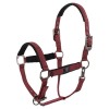 BR CLX Halter