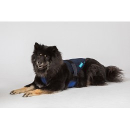 Back on Track Cool on Track Dog Harness
