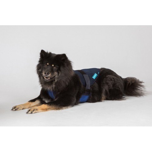Back on Track Cool on Track Dog Harness