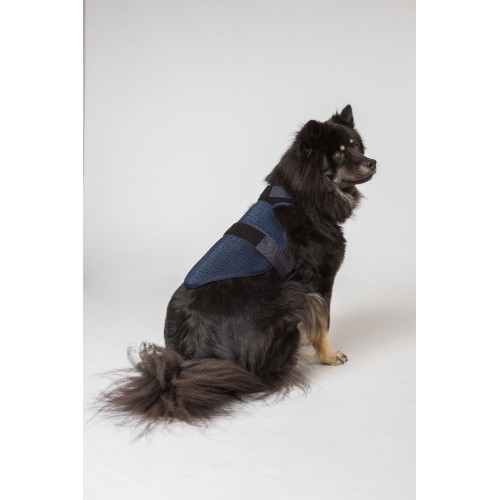 Back on Track Cool on Track Dog Harness