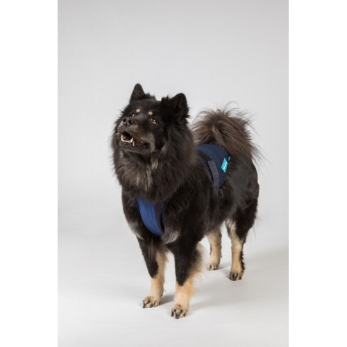 Back on Track Cool on Track Dog Harness