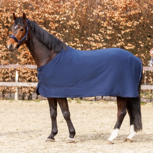 Kavalkade Jersey Fleece Rug Graceful