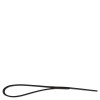 BR dog leash
