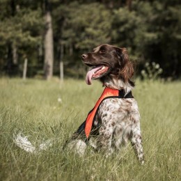Back on Track Reflective Dog жилет Point