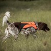 Back on Track Reflective Dog Vest Point