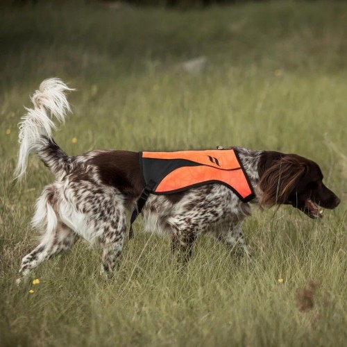 Back on Track Reflective Dog Vest Point
