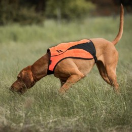 Back on Track Reflective Dog жилет Point