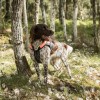 Back on Track Reflective Dog Vest Trakk