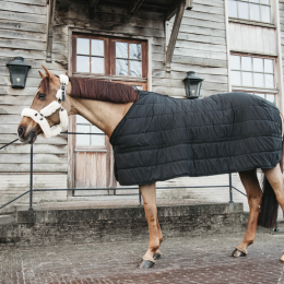 Kentucky Under попона Skin Friendly 150g чёрный