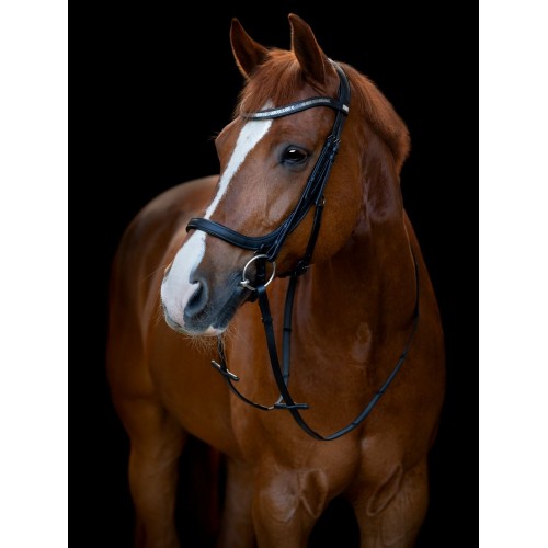 HorseGuard Anatomical Bridle Tine