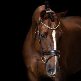 Imperial Riding уздечка с трензелем IRH simple combined капсюль