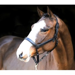Liveryman Clipping недоуздок