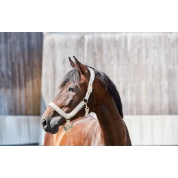 HorseGuard SS'23 Anatomical недоуздок